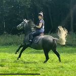 Faye Mulley - @mulleyfaye - Instagram