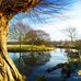Faye Murdock - Facebook
