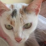 LEV_JIN - @faye_nashira24 - Instagram