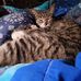 Faye Neff - Facebook