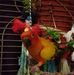 Faye Nicholas - Facebook
