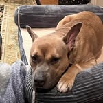 Faye Olson - @babyfaye72 - Instagram