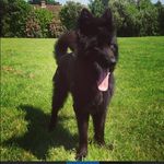 Faye Oneill - @fayeoneill123 - Instagram