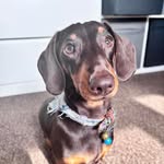 Faye Parish - @fayeparish - Instagram