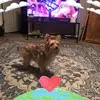 fayepaul57 - @fayepaul57 - TikTok