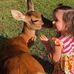 Faye Payne - Facebook