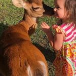 Faye Payne - @faye.payne.71066 - Instagram