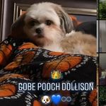 Faye Payne-Dollison - @fayedollison2002 - Instagram