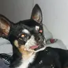 Faye speaks - @fayespeaks - TikTok