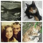 Faye Pearson - @faye.pearson.334 - Instagram
