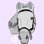 Faye Pendleton - @faye_maisie_showjumping_ - Instagram