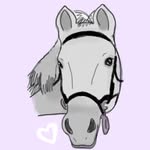 Faye Pendleton - @faye_showjumping - Instagram