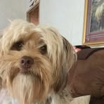 Faye Pendleton - Facebook
