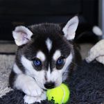 lily faye pennington - @lily.pennington23 - Instagram