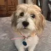 Faye Perry Purtle - @faye.perry.purtle - TikTok