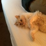 Faye Petty - @faye.petty.71 - Instagram