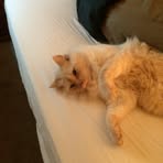 Faye Petty - Facebook