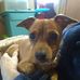 Faye Pike - Facebook