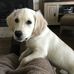 Faye Plummer - Facebook