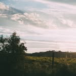 Faye's Poetry - @fayespoetry - Instagram