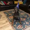 Fay Pratt - @fay.pratt8 - TikTok