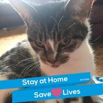 Faye Pratt - @faye.pratt.7588 - Instagram