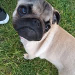 Faye Pullen - @fayelpullen - Instagram
