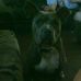 Faye Purdy - Facebook