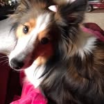 Mary Faye Putnam - @sillygrndma - Instagram
