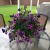 Faye Rasmussen-Matlock - Facebook