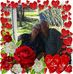Faye Replogle - Facebook