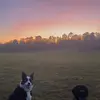 Faye - @faye.richards - TikTok
