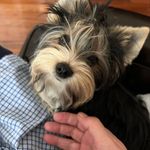 Faye Rock - @dianafaye81 - Instagram