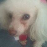 Faye Rogers - @faye.rogers.1441 - Instagram