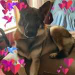 Faye Rogers Wiendl - @faye.rogerswiendl - Instagram