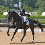 Faye Heppelthwaite - @faye_rosedressage - Instagram