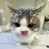 🌸Faye Ross🌷 - @faye.ross3 - TikTok