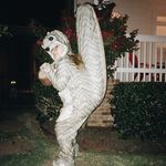 squirrelingaroundfayetteville - @squirrelingaroundfayetteville - Instagram