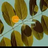 Faye Ruiz Opolinto - @faye.ruiz.opolint - TikTok
