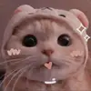 @fayecattrush￶11 - @fayecat22 - TikTok