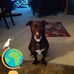 Fay Saunders  - Facebook