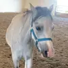 Faye_Saunders_ - @faye_saunders_ - TikTok