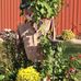 Faye Schultz - Facebook