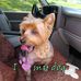 Faye Sheets - Facebook