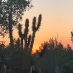 D Faye Sheppard - @dfayesheppard - Instagram