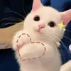 FAYE SHEPPARD - @user6032722069107 - TikTok