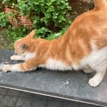 Faye - @faye_sleep - Instagram