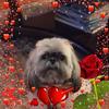 lindafayesmalls528 - @lindafayesmalls528 - TikTok