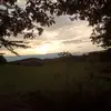 fayesparrow6 - @fayesparrow6 - TikTok