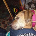 Faye Spaulding - @jacob07112024 - Instagram